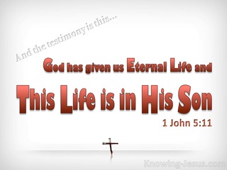 1 John 5:11 This Life Is In His Son (white)